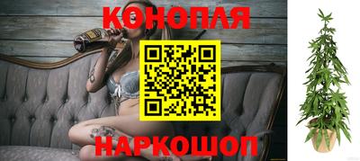 каннабис Дубна