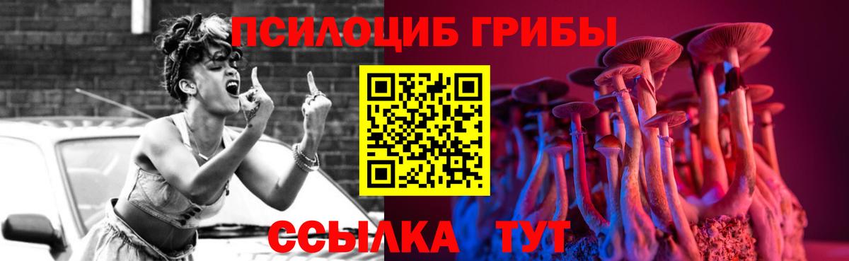 Галлюциногенные грибы прущие грибы Междуреченск